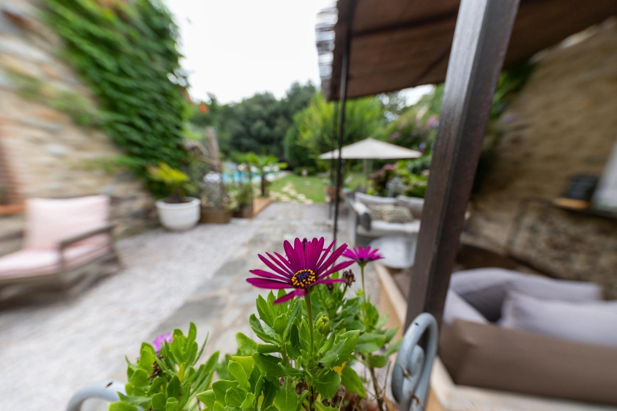 Hotel Le Mas Trilles Ceret Exterior photo